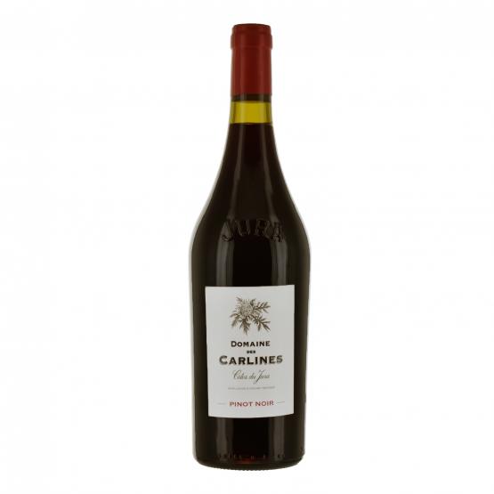Pinot Noir 2023 Rouge Gueuleton Gueuleton FR 24 impasse du centre de secours Gueuleton Gueuleton Gueuleton 24 impasse du centre de secours Gueuleton Gueuleton Gueuleton Gueuleton Gueuleton 24 impasse du centre de secours Gueuleton 24 impasse du centre de secours 24 impasse du centre de secours