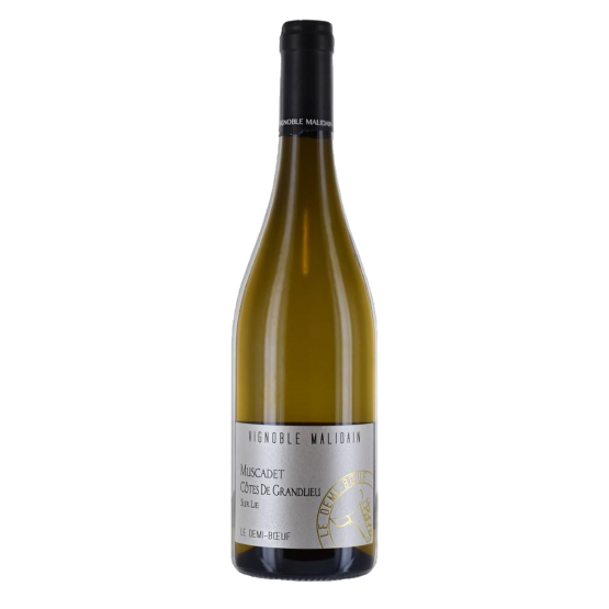 Le Demi-Boeuf Muscadet 2023 Blanc Gueuleton Gueuleton FR 24 impasse du centre de secours Gueuleton Gueuleton Gueuleton 24 impasse du centre de secours Gueuleton Gueuleton Gueuleton Gueuleton Gueuleton 24 impasse du centre de secours Gueuleton 24 impasse du centre de secours 24 impasse du centre de secours