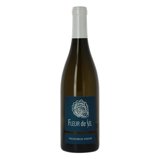 Fleur de Sel Blanc 2024 Magnum Gueuleton Gueuleton FR 24 impasse du centre de secours Gueuleton Gueuleton Gueuleton 24 impasse du centre de secours Gueuleton Gueuleton Gueuleton Gueuleton Gueuleton 24 impasse du centre de secours Gueuleton 24 impasse du centre de secours 24 impasse du centre de secours
