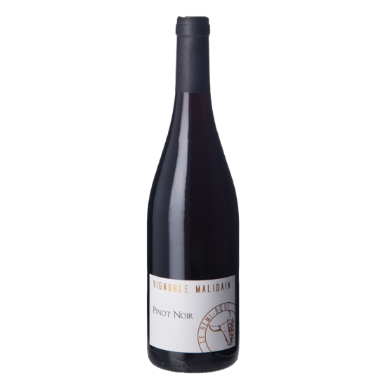 Demi Boeuf Pinot Noir 2024 Rouge Gueuleton Gueuleton FR 24 impasse du centre de secours Gueuleton Gueuleton Gueuleton 24 impasse du centre de secours Gueuleton Gueuleton Gueuleton Gueuleton Gueuleton 24 impasse du centre de secours Gueuleton 24 impasse du centre de secours 24 impasse du centre de secours
