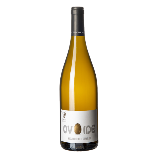 Muscadet Grandlieu Demi Boeuf cuvée Ovoide 2024 Blanc Gueuleton Gueuleton FR 24 impasse du centre de secours Gueuleton Gueuleton Gueuleton 24 impasse du centre de secours Gueuleton Gueuleton Gueuleton Gueuleton Gueuleton 24 impasse du centre de secours Gueuleton 24 impasse du centre de secours 24 impasse du centre de secours Muscadet Grandlieu Demi Boeuf cuvée Ovoide 2024 Blanc Gueuleton Gueuleton FR 24 impasse du centre de secours Gueuleton Gueuleton Gueuleton 24 impasse du centre de secours Gueuleton Gueuleton Gueuleton Gueuleton Gueuleton 24 impasse du centre de secours Gueuleton 24 impasse du centre de secours 24 impasse du centre de secours