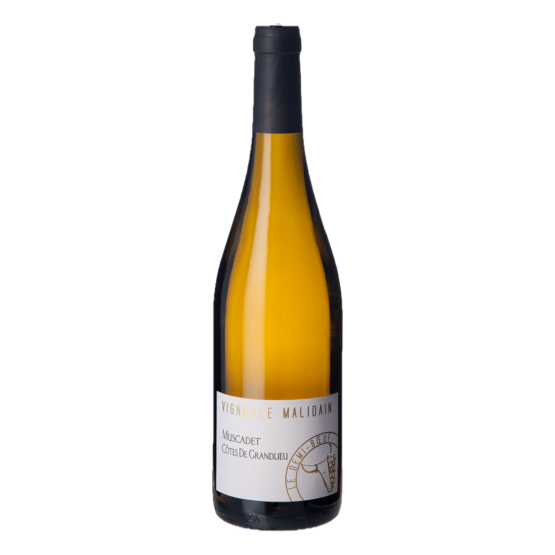 Le Demi-Boeuf Muscadet 2025 Blanc Gueuleton Gueuleton FR 24 impasse du centre de secours Gueuleton Gueuleton Gueuleton 24 impasse du centre de secours Gueuleton Gueuleton Gueuleton Gueuleton Gueuleton 24 impasse du centre de secours Gueuleton 24 impasse du centre de secours 24 impasse du centre de secours